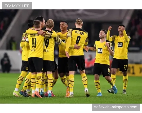 霍芬海姆财政状况分析 低成本运营模式取得显著成效